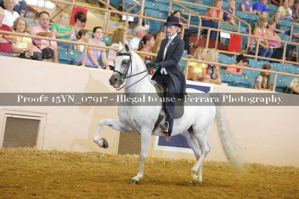 Proof 15YN_07917