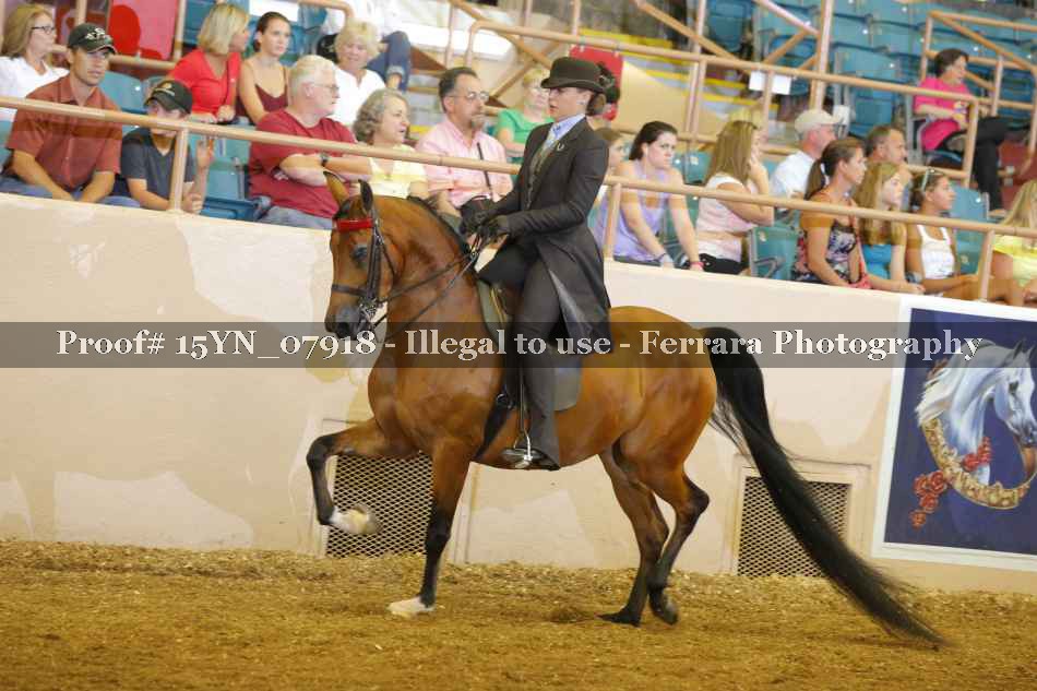 Proof 15YN_07918