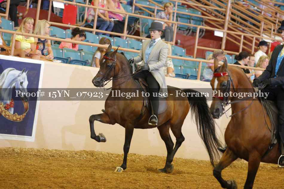 Proof 15YN_07923