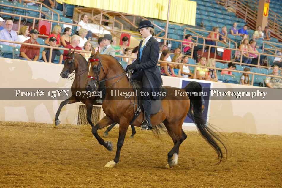 Proof 15YN_07924