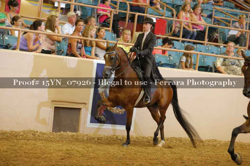 Proof 15YN_07926