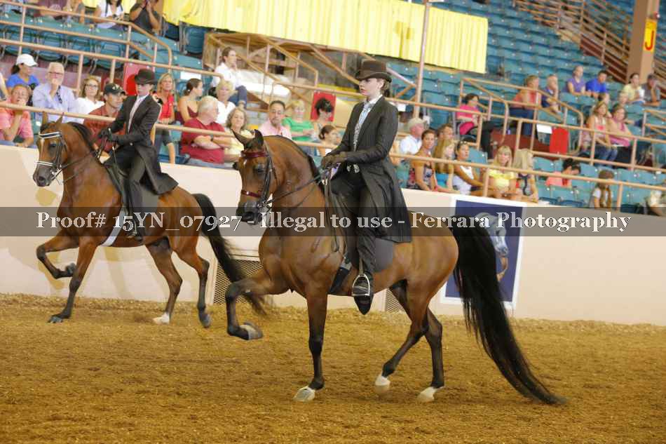 Proof 15YN_07927