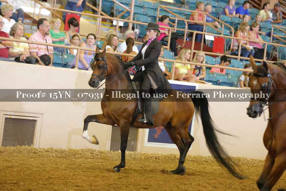 Proof 15YN_07931
