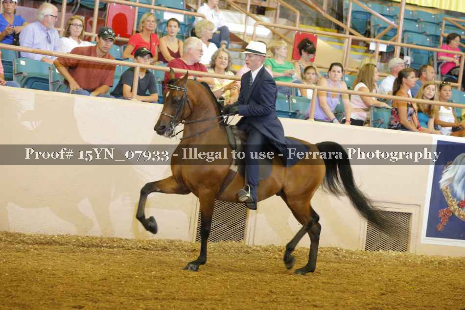 Proof 15YN_07933