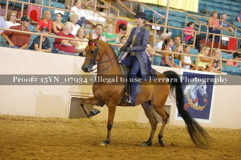 Proof 15YN_07934
