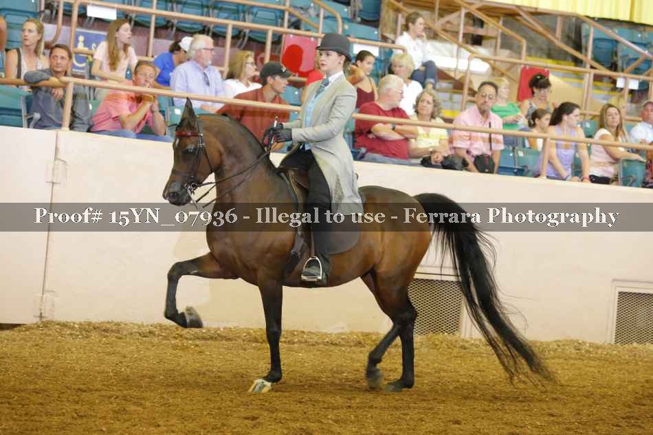 Proof 15YN_07936