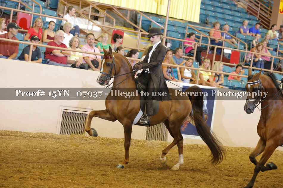 Proof 15YN_07937