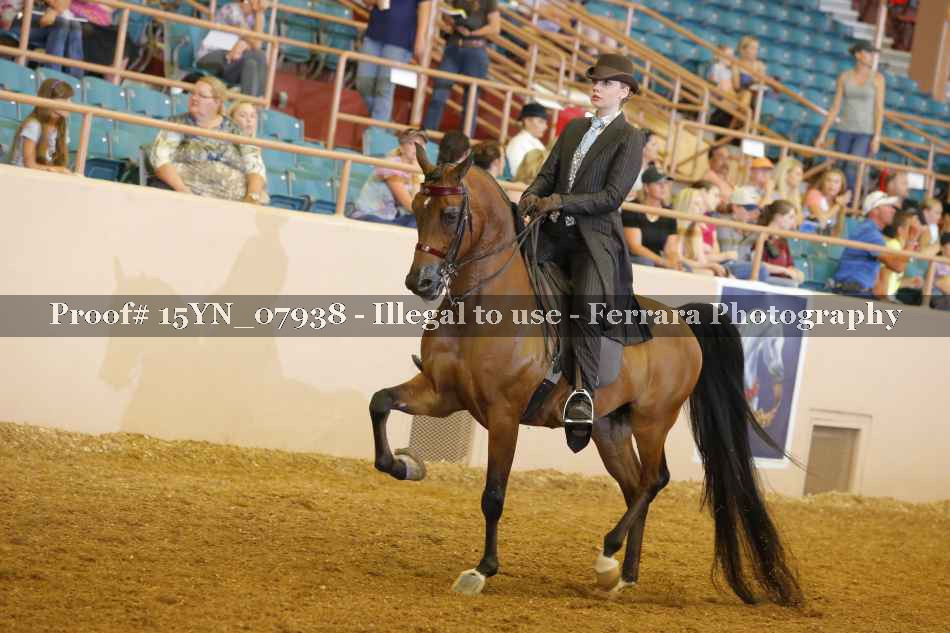 Proof 15YN_07938