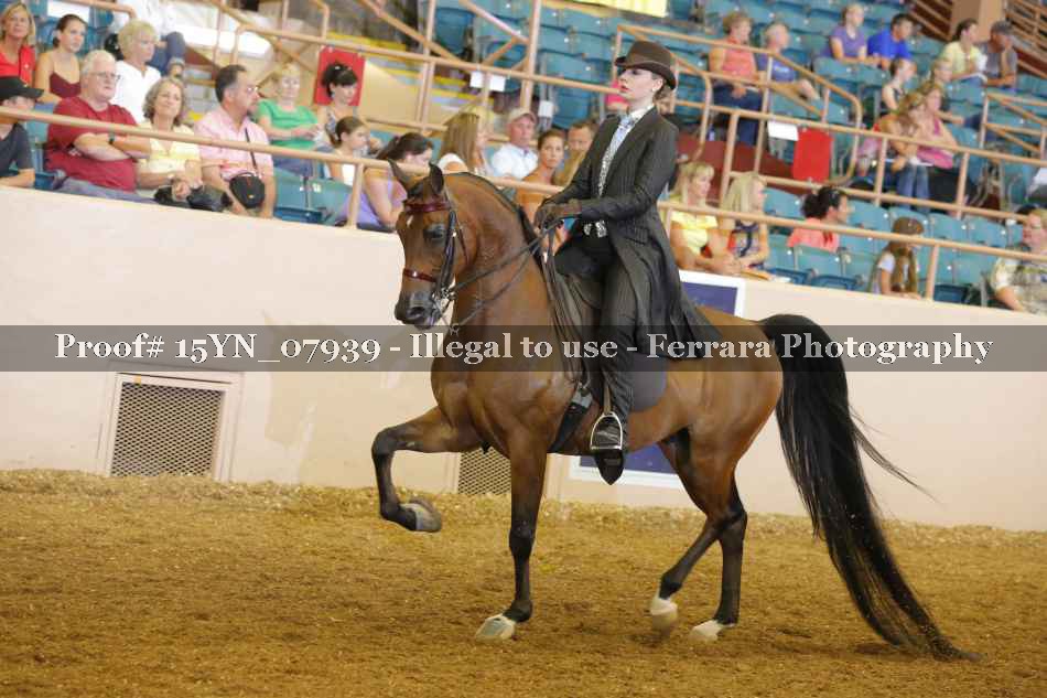 Proof 15YN_07939