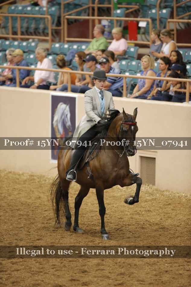 Proof 15YN_07941
