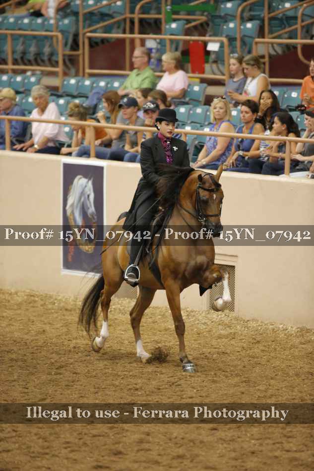 Proof 15YN_07942
