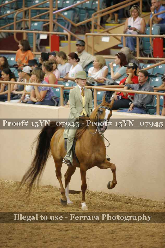 Proof 15YN_07945