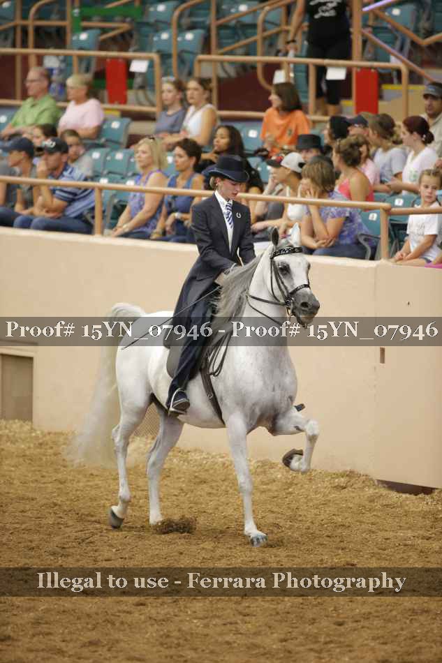 Proof 15YN_07946
