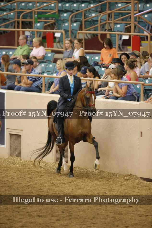 Proof 15YN_07947