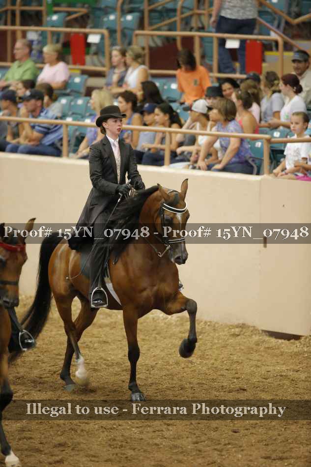 Proof 15YN_07948