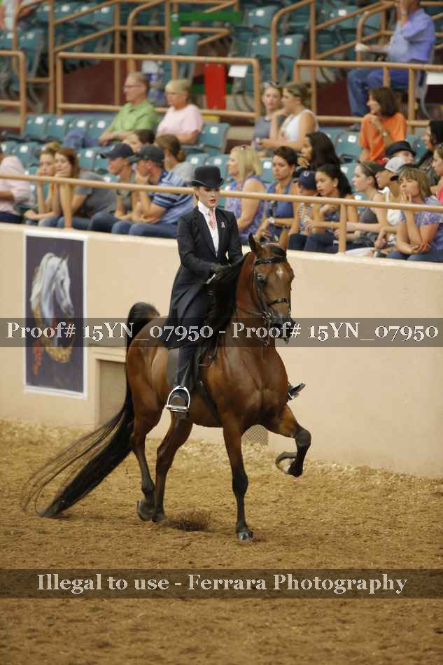 Proof 15YN_07950
