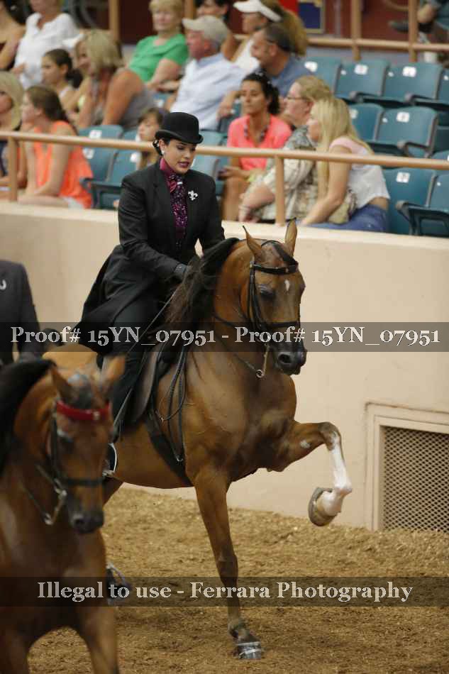 Proof 15YN_07951