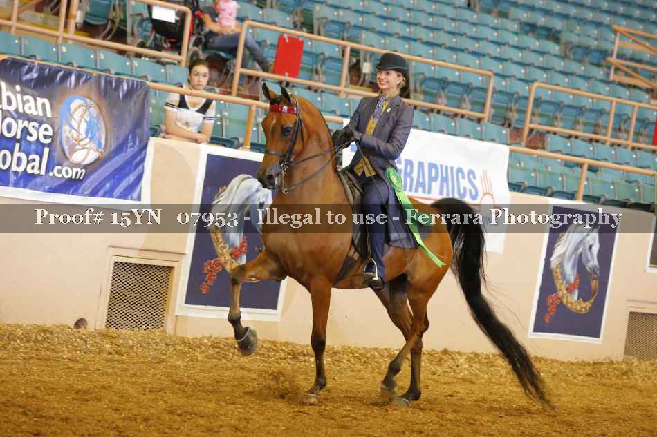 Proof 15YN_07953