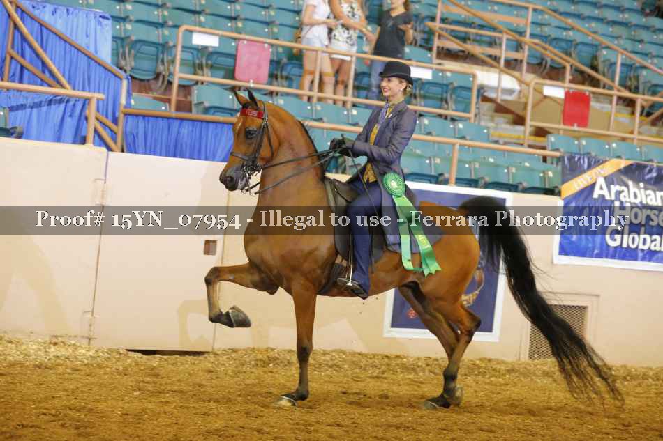 Proof 15YN_07954