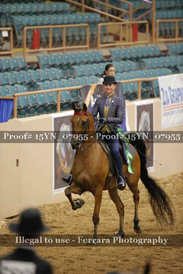Proof 15YN_07955
