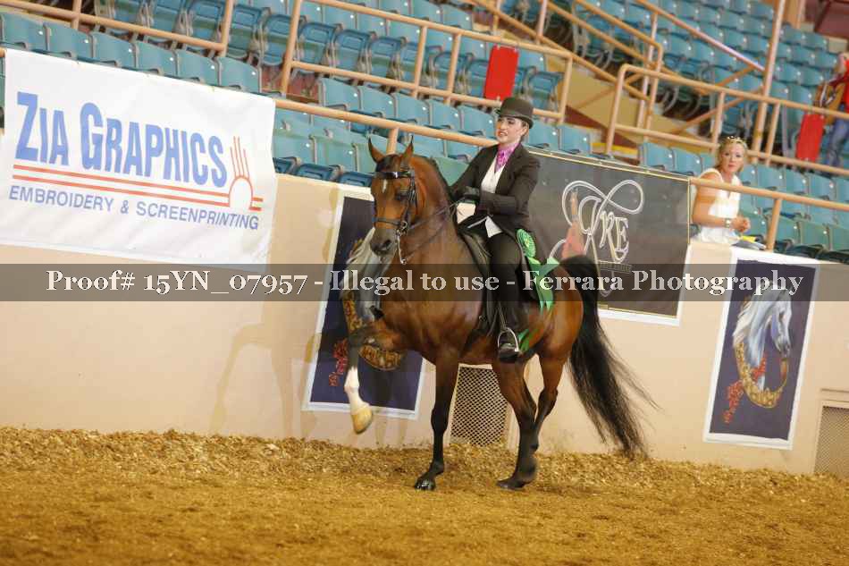 Proof 15YN_07957