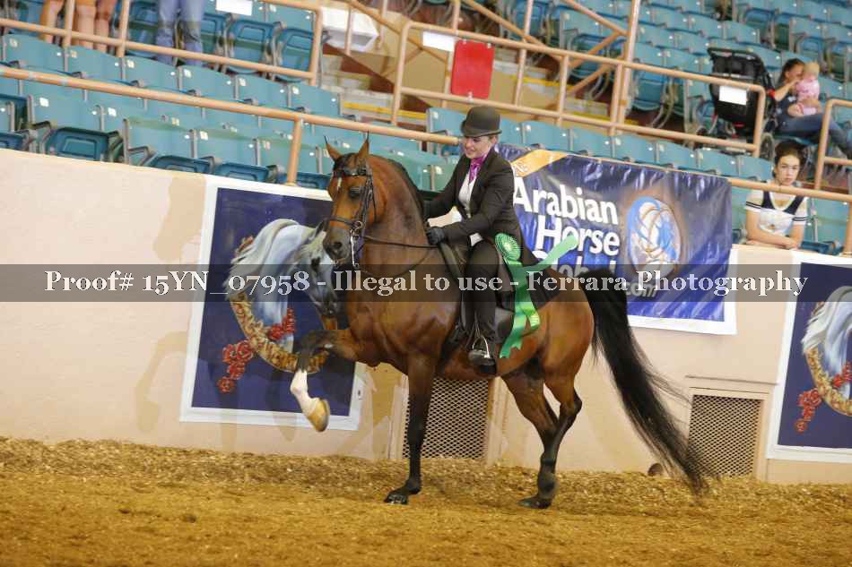 Proof 15YN_07958