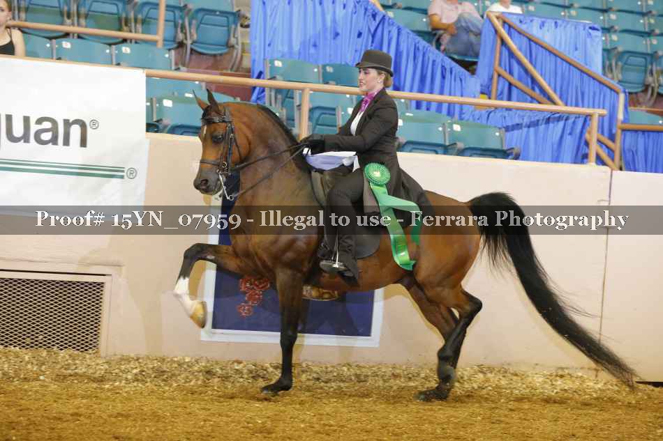 Proof 15YN_07959