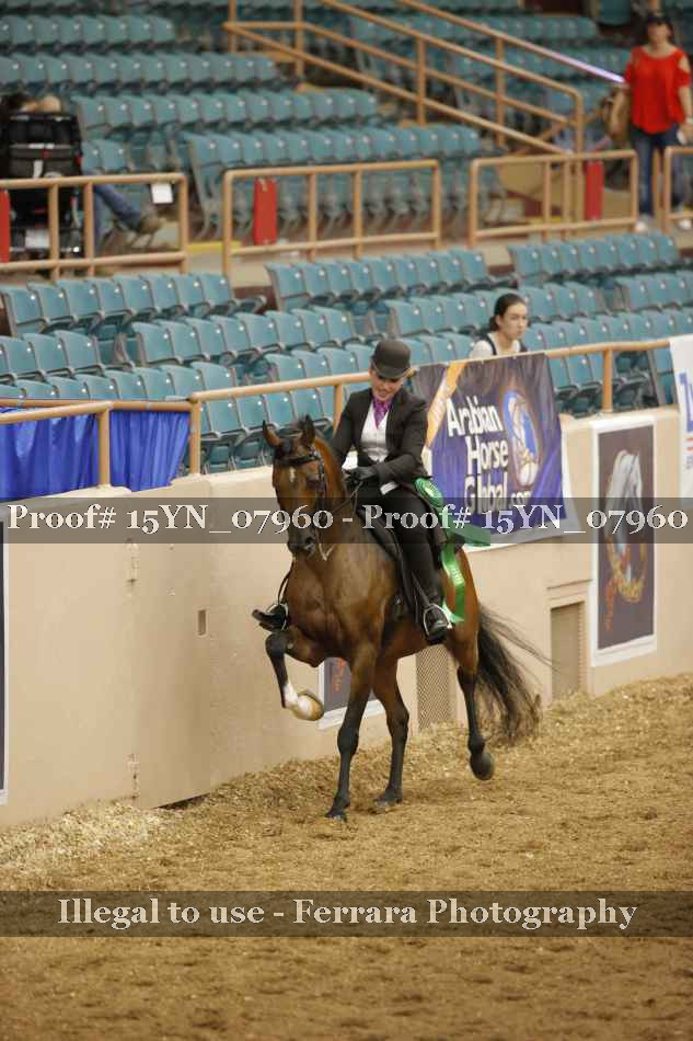 Proof 15YN_07960
