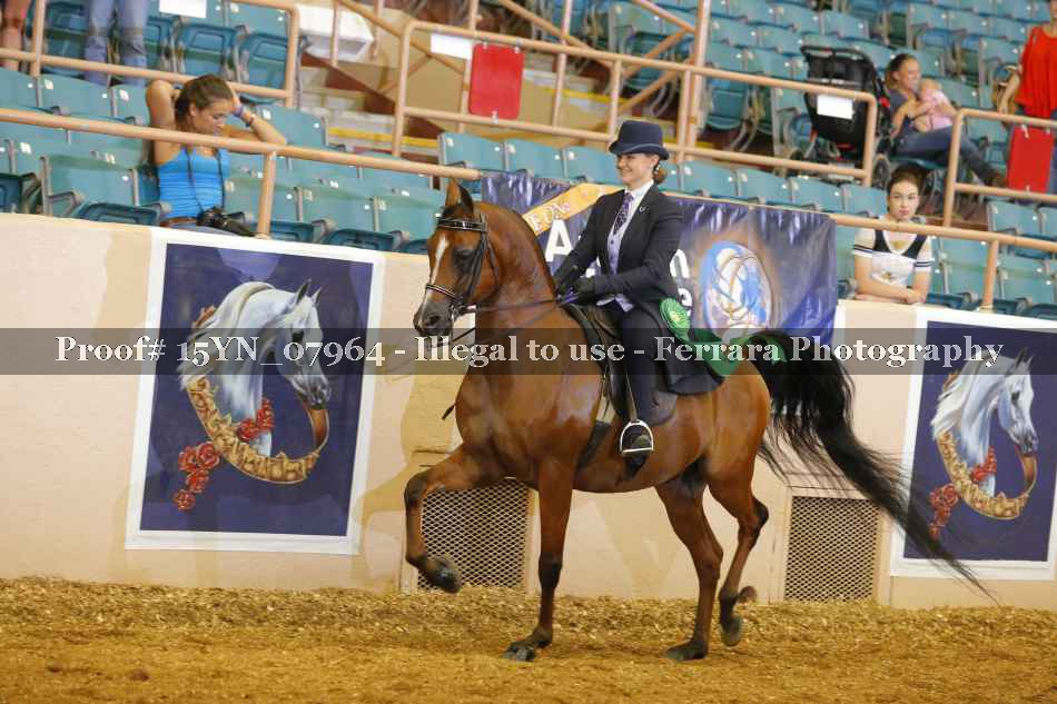 Proof 15YN_07964