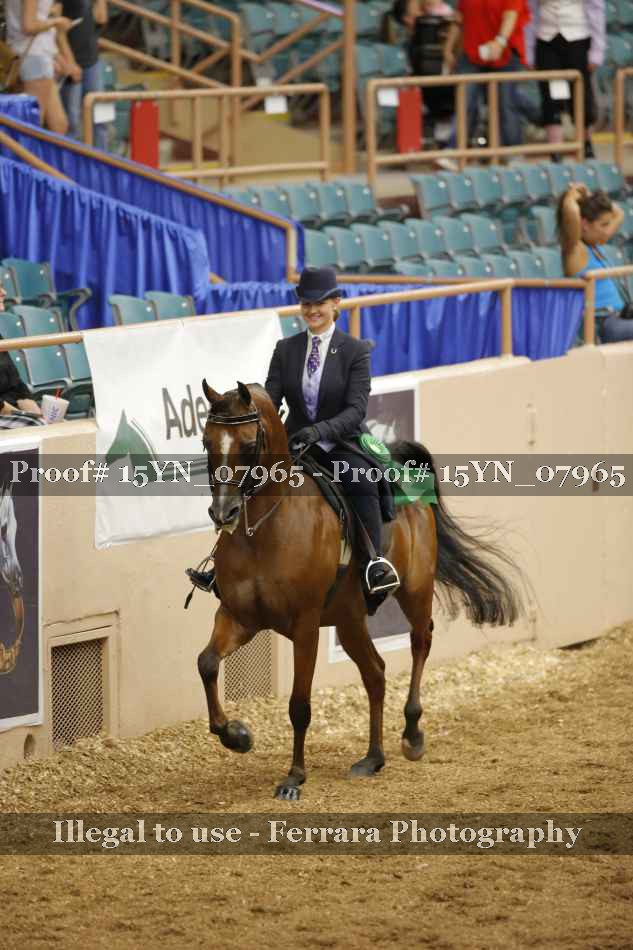 Proof 15YN_07965