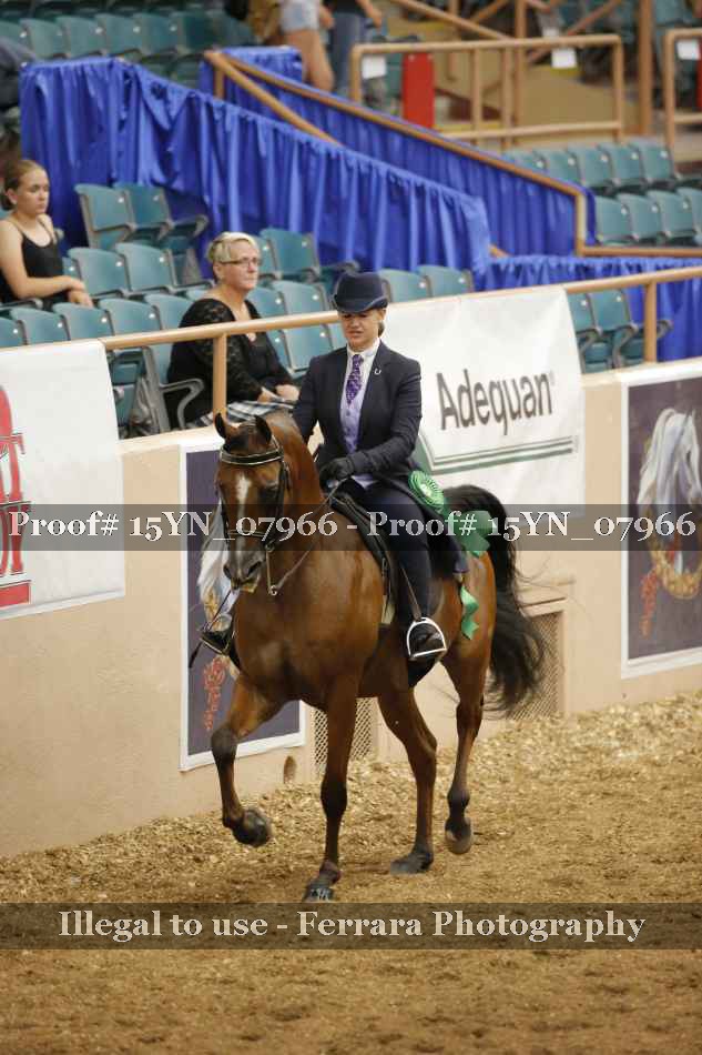 Proof 15YN_07966