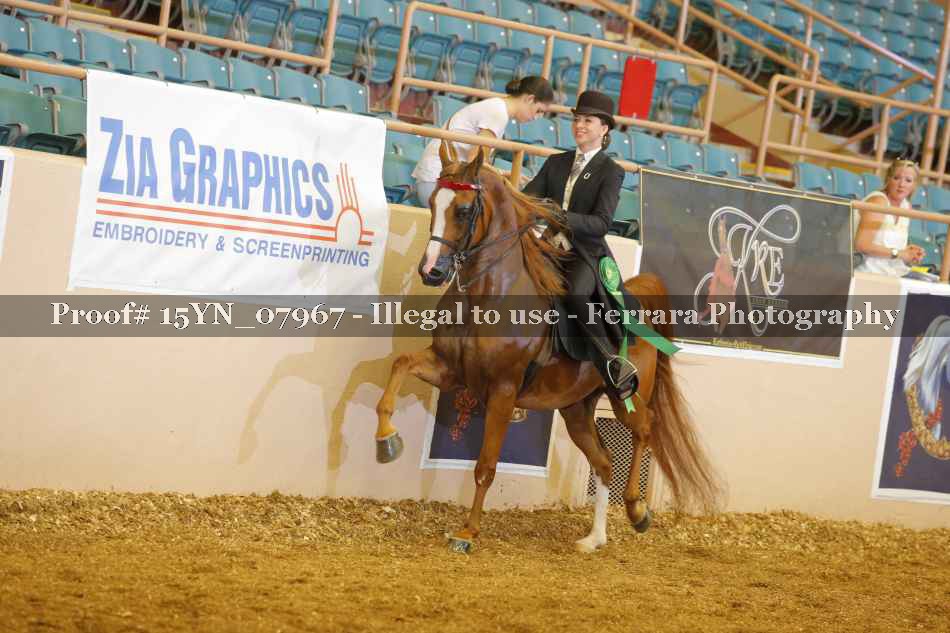 Proof 15YN_07967