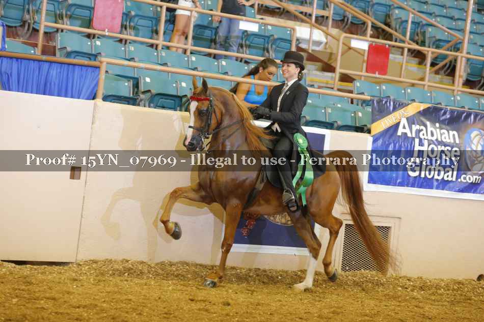Proof 15YN_07969