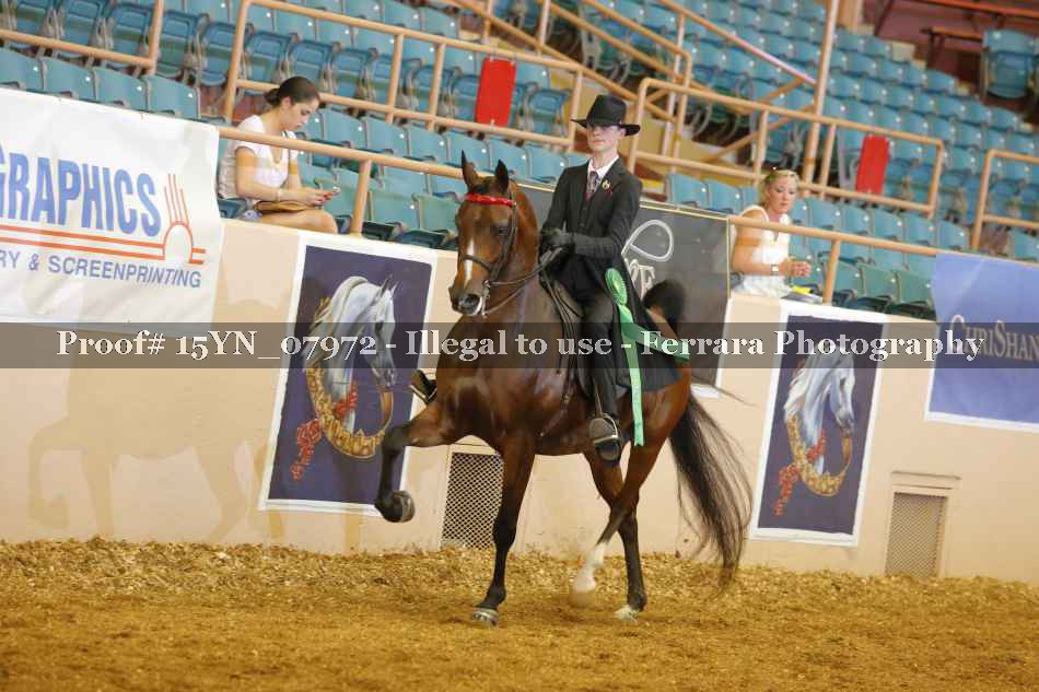 Proof 15YN_07972