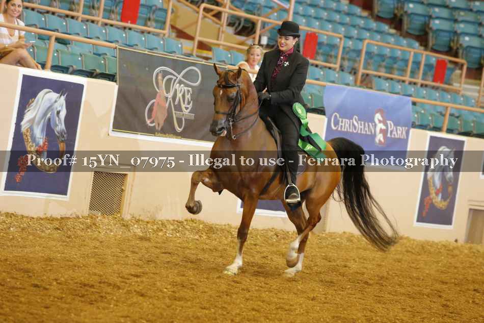 Proof 15YN_07975