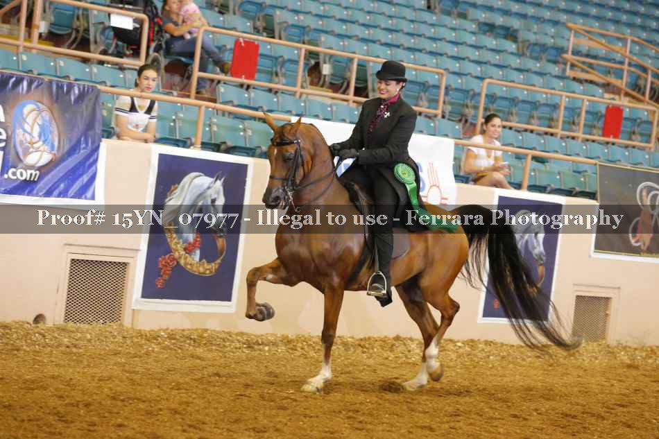 Proof 15YN_07977