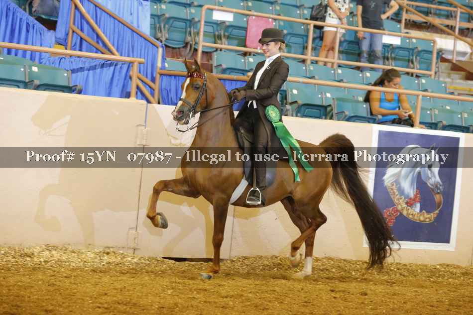 Proof 15YN_07987