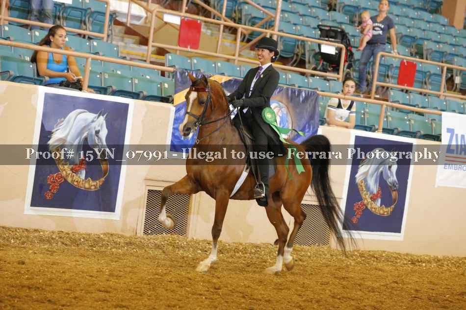 Proof 15YN_07991