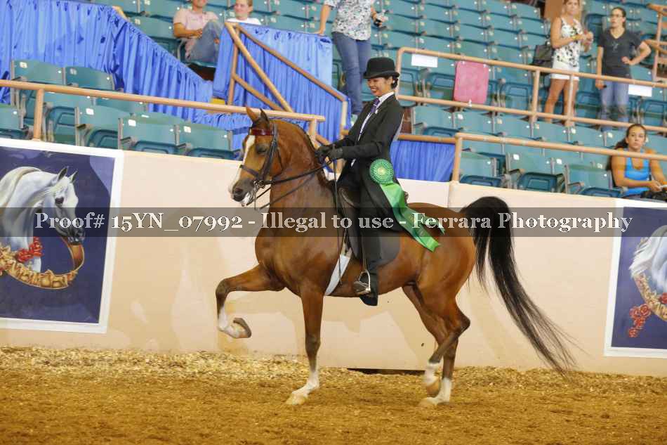 Proof 15YN_07992