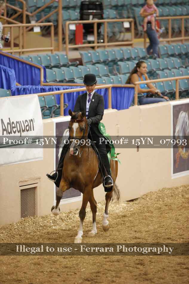 Proof 15YN_07993