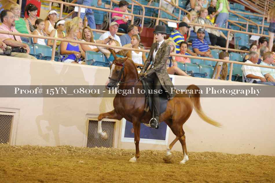 Proof 15YN_08001
