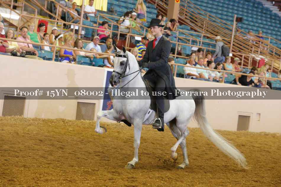 Proof 15YN_08002