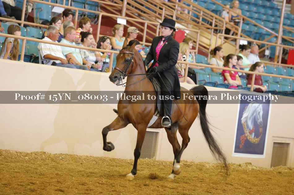 Proof 15YN_08003