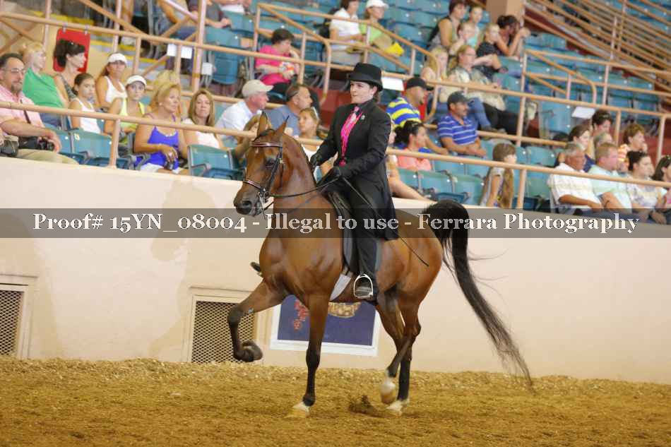 Proof 15YN_08004