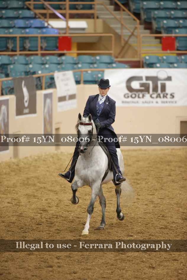 Proof 15YN_08006