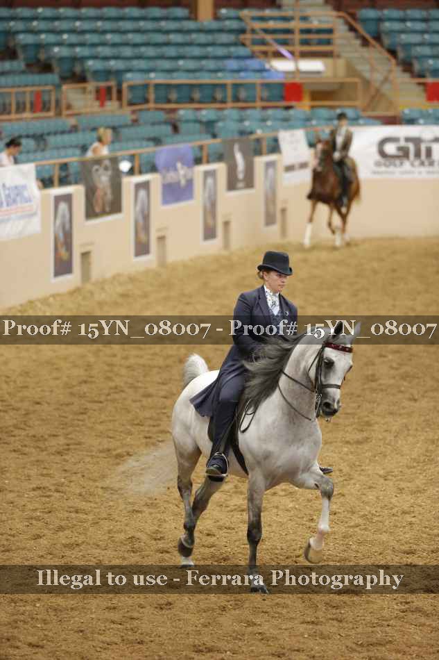 Proof 15YN_08007