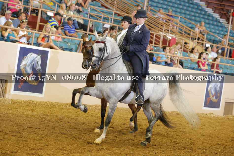 Proof 15YN_08008