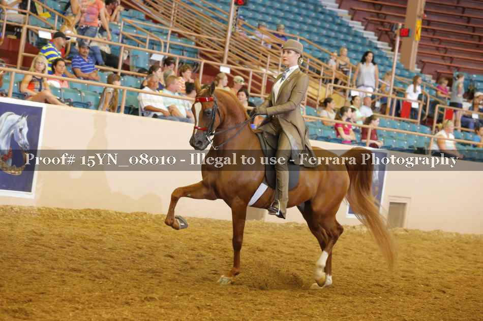 Proof 15YN_08010
