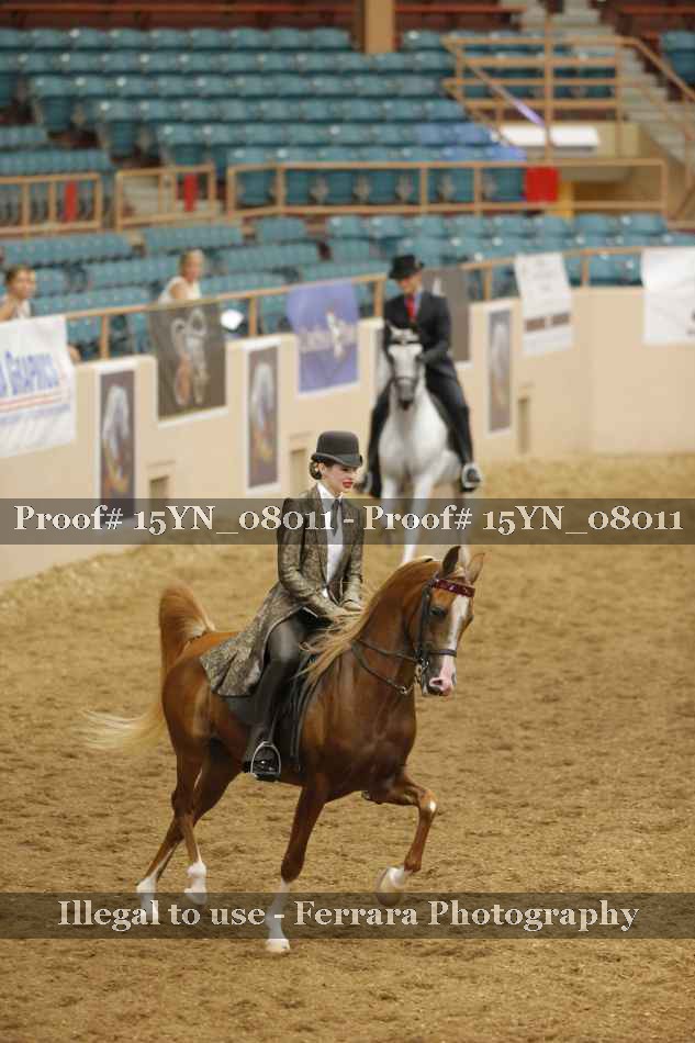 Proof 15YN_08011
