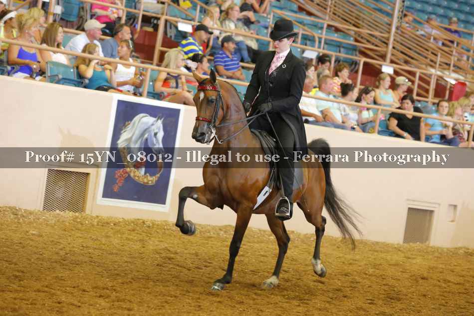 Proof 15YN_08012